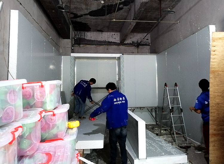 冷库安装 冷库设计 果蔬保鲜库
