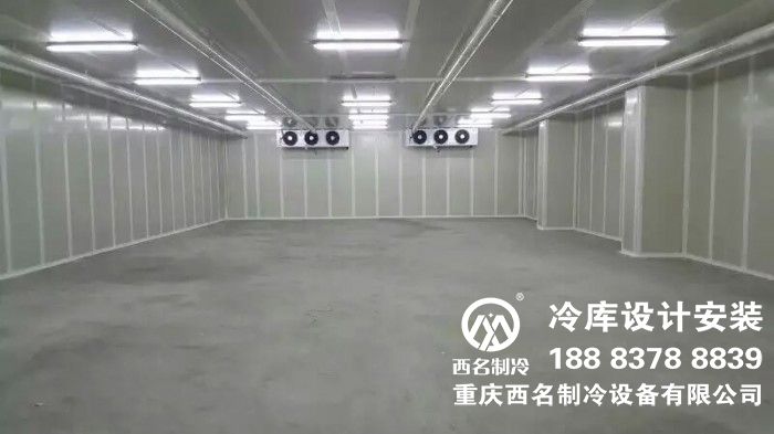 1000吨气调库