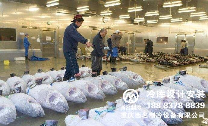安装海鲜冷库