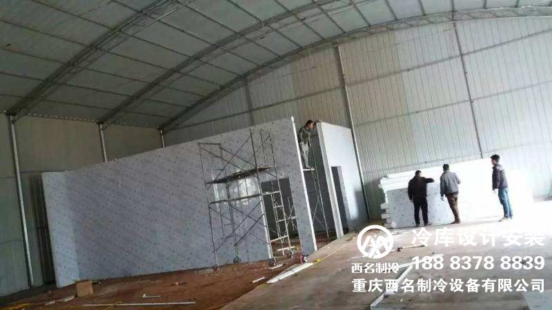 小型冷库 小型冷库