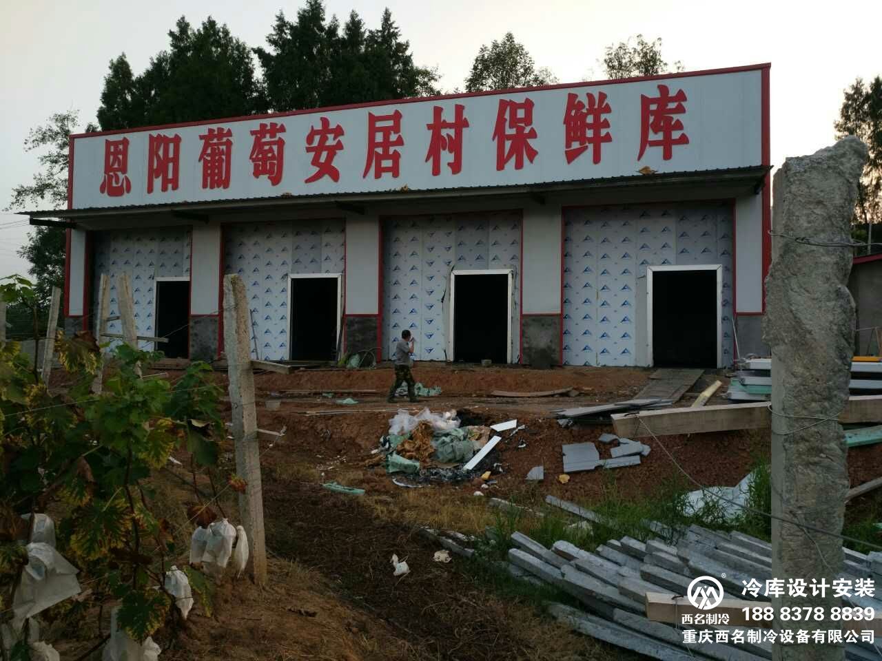 巴中恩阳区建一个葡萄气调保鲜库造价多少钱？