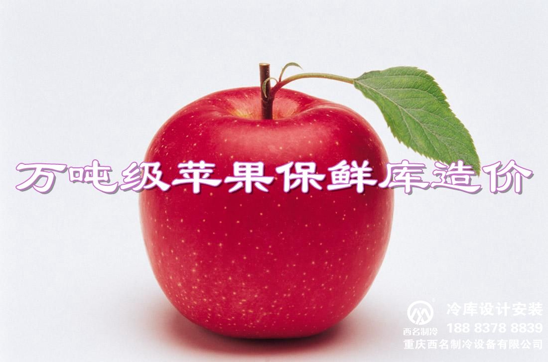 建个万吨级的苹果保鲜库造价预算大概多少钱？