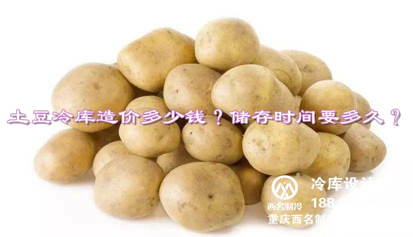建一个20吨的土豆冷库造价多少钱？储存时间要多久？