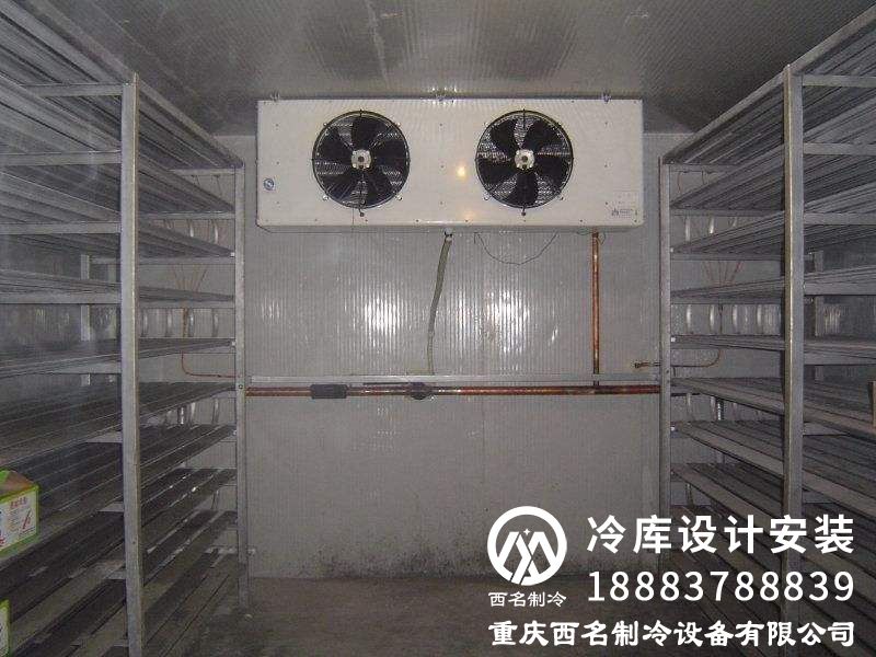 蔬菜保鲜冷库