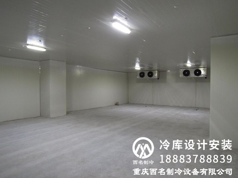 1-2110210Z300116.jpg