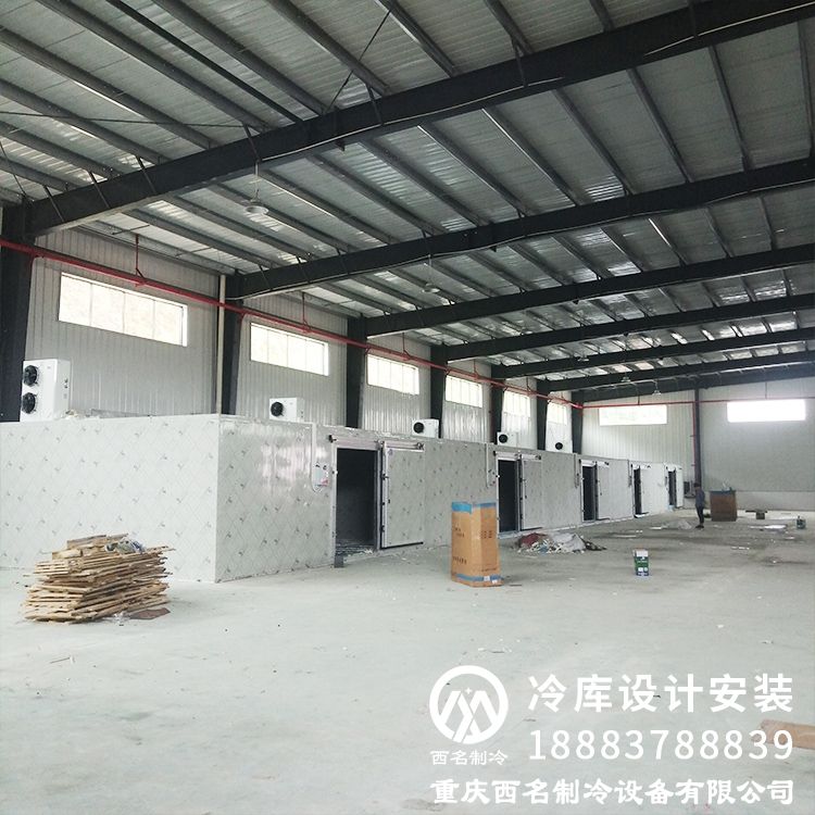 200平方保鲜库