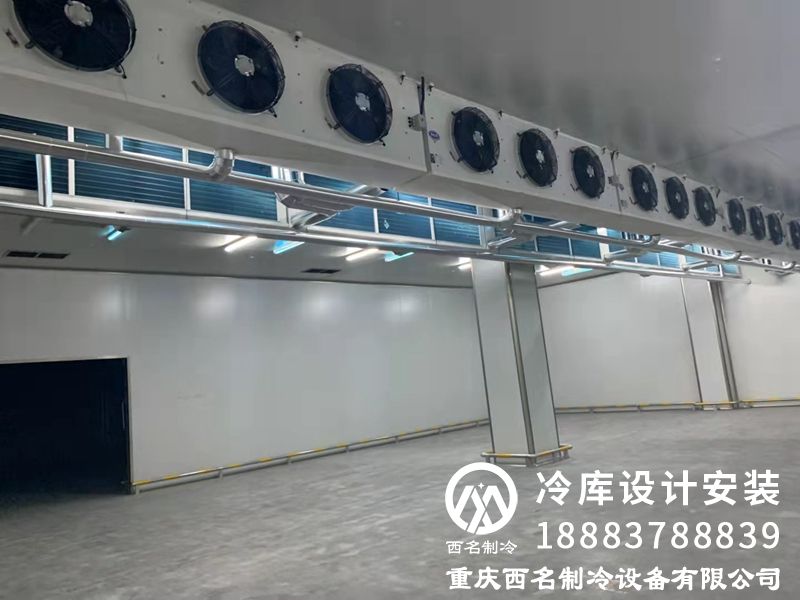 1-2110191512329D.jpg