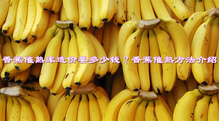 建一个香蕉催熟库造价要多少钱？香蕉催熟方法介绍