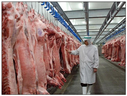 肉类冷库.jpg 肉类冷库.jpg
