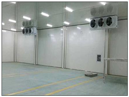 009f92847ebc4fcc87aed32a07add1d8.jpg