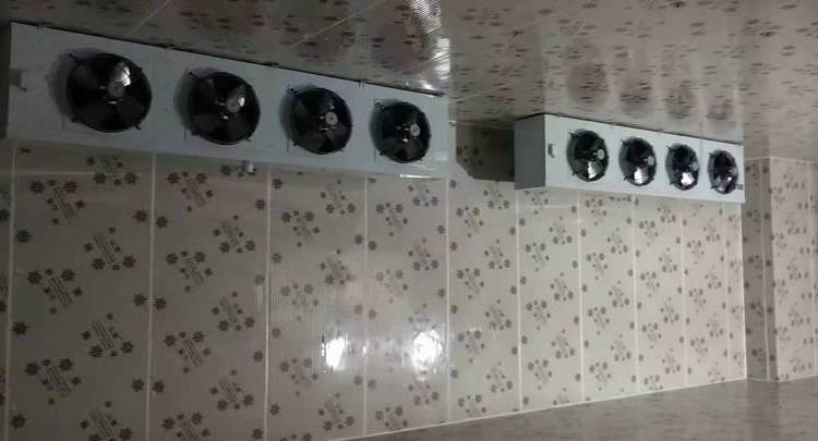 u=3908745394,1785258394&fm=199&app=68&f=JPEG.jpg